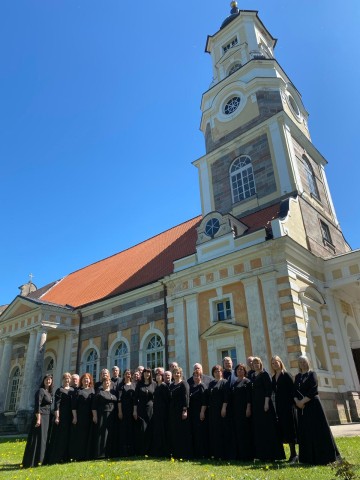 Lizuma jauktais koris